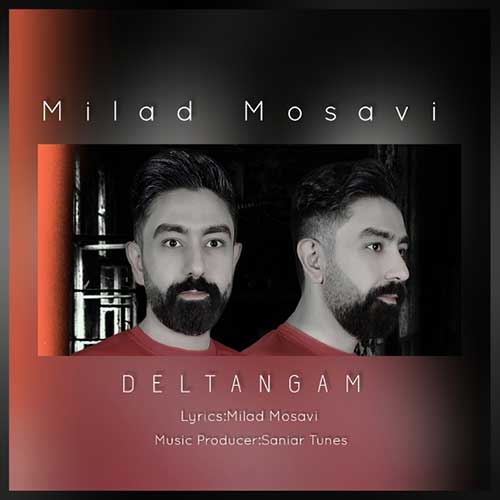 Milad Mosavi Deltangam